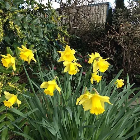 Crosslands Farm Konukevi 4*