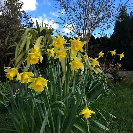 Crosslands Farm Konukevi Kendal